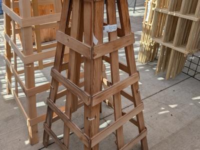 #241 Cypress Pyramid 20"x20"x44"