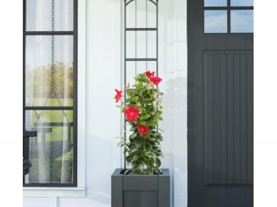 MODERN FARMHOUSE POT TRELLIS   BLACK 60"