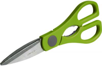 Stainless Househld Shear Bloom