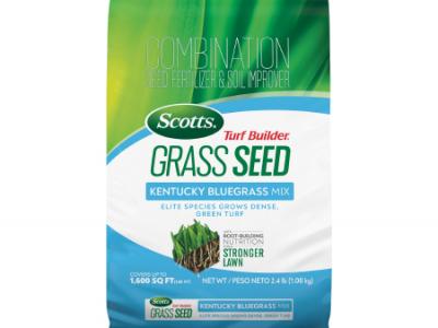 Scotts Turf Builder Grass Seed Kentucky Bluegrass 2.4 Lbs.