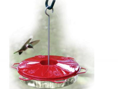Classic Hummingbird Dish